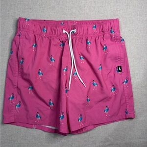 Hollister Pink Swim Shorts with Blue Flamingo Print
